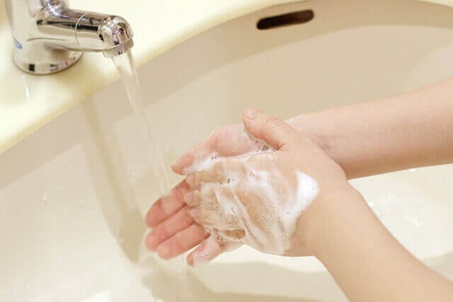 手　カメムシの臭いを消す方法　食器用洗剤