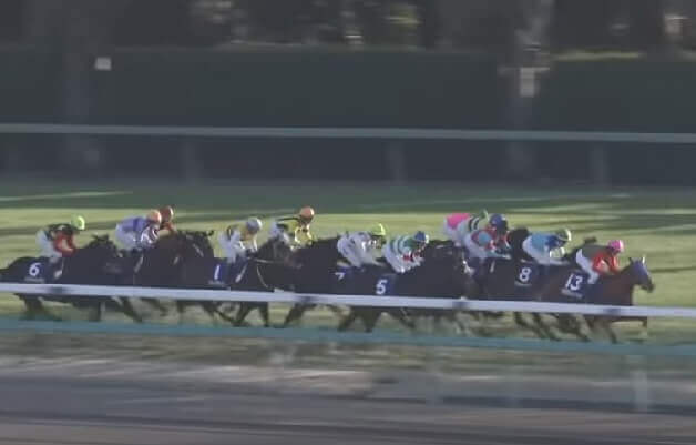 ホープフルステークス 2019 出走馬 枠順 確定