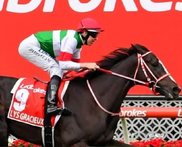 有馬記念 2019 引退 リスグラシュー