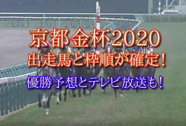 京都金杯 2020 出走馬 枠順 確定
