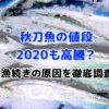 秋刀魚　値段　2020　不漁続き　原因