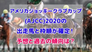 アメリカジョッキークラブカップ 2020 出走馬 枠順 確定 予想