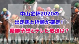 中山金杯 2020 出走馬 枠順 確定
