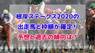 根岸ステークス 出走馬 枠順 確定 予想