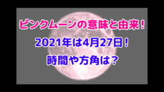 ピンクムーン 意味 由来 2021 時間 方角