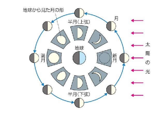 フラワームーン 2021 方角 高さ