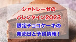 シャトレーゼ　バレンタイン　2023　チョコケーキ　発売日　予約